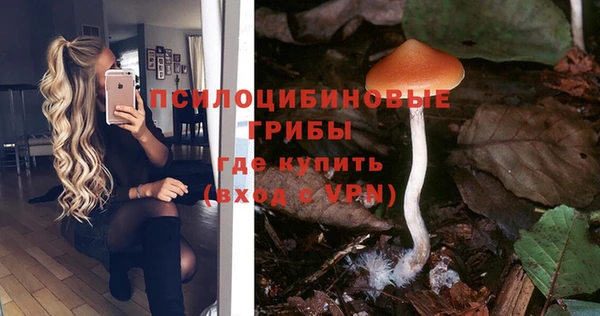прущая мука Арсеньев