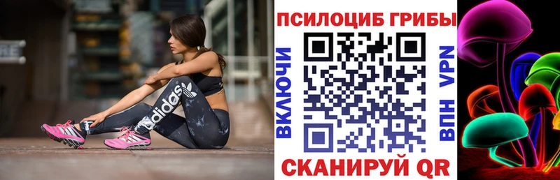 Псилоцибиновые грибы GOLDEN TEACHER  Новороссийск 